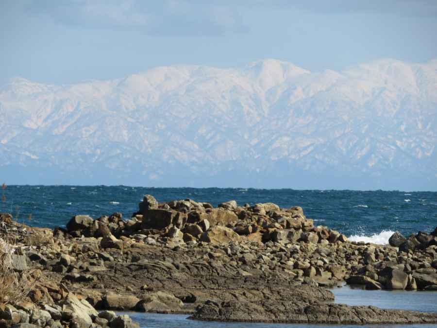 f:id:mannenNA:20210303210946j:plain