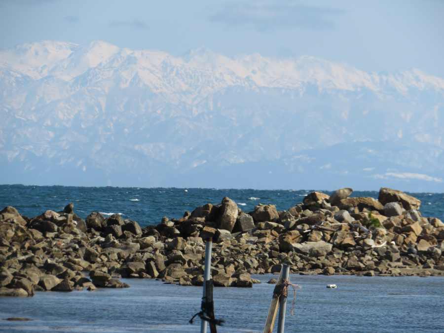 f:id:mannenNA:20210303211026j:plain