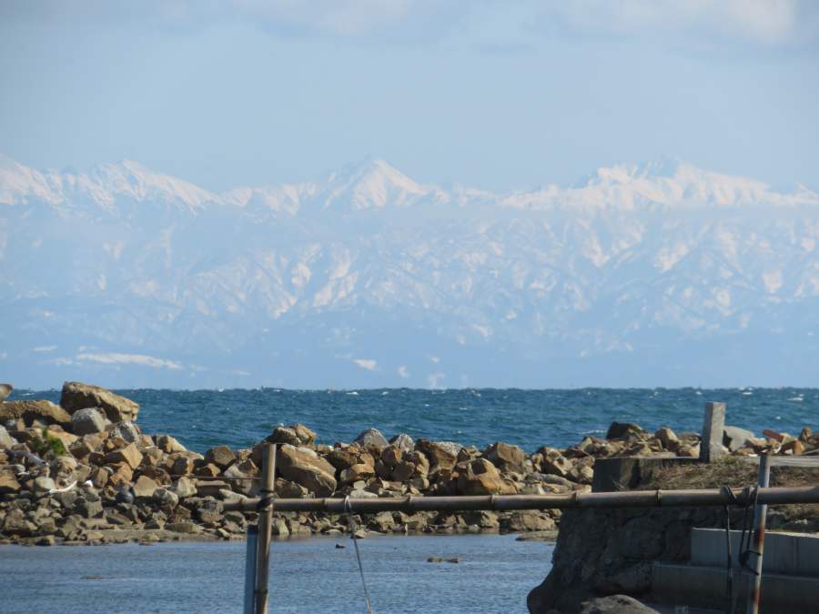 f:id:mannenNA:20210303211046j:plain