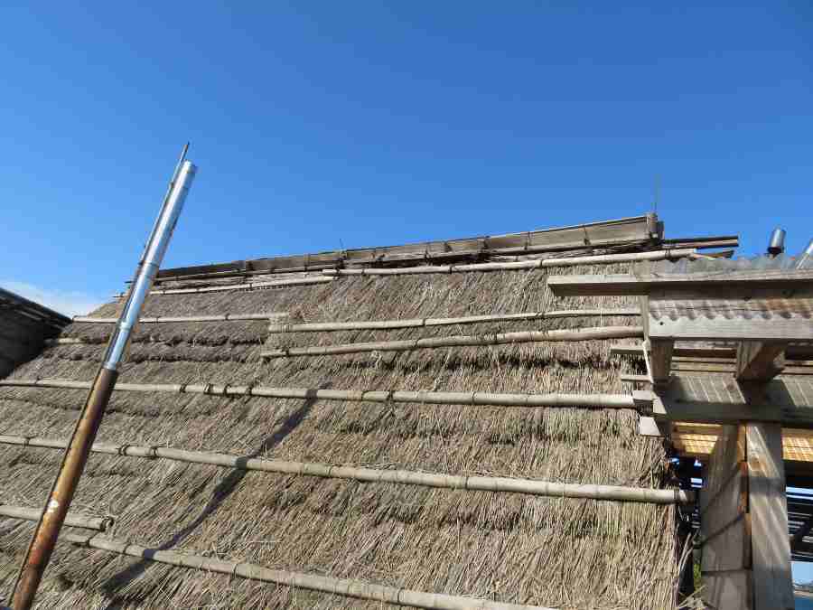 f:id:mannenNA:20210303211315j:plain