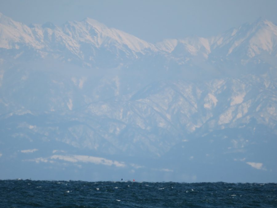 f:id:mannenNA:20210303211346j:plain