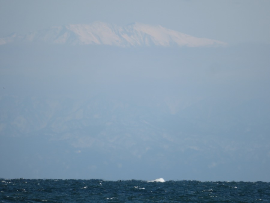 f:id:mannenNA:20210303211517j:plain