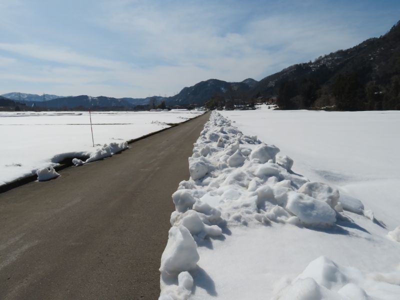 f:id:mannenNA:20210307205529j:plain