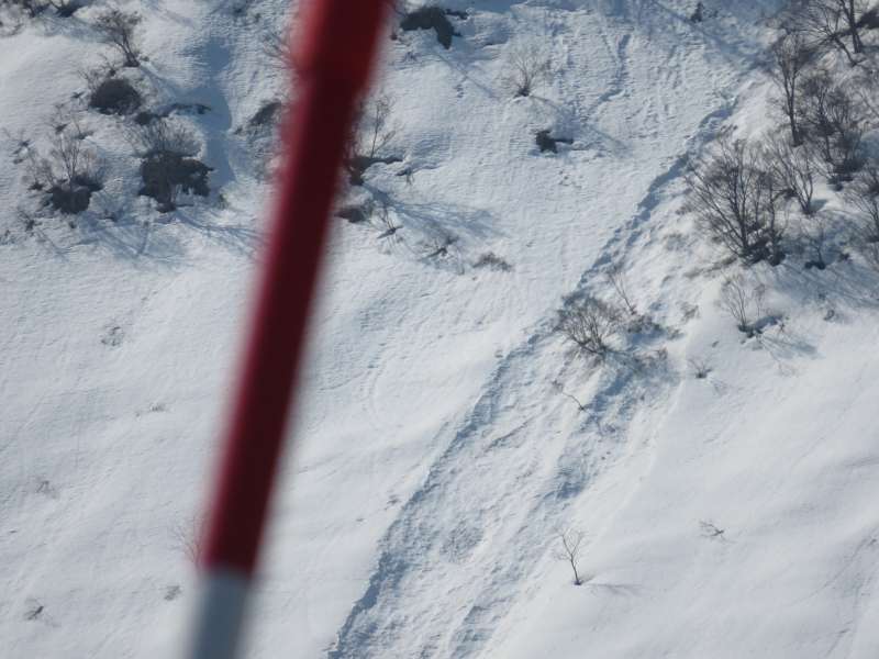 f:id:mannenNA:20210307211132j:plain