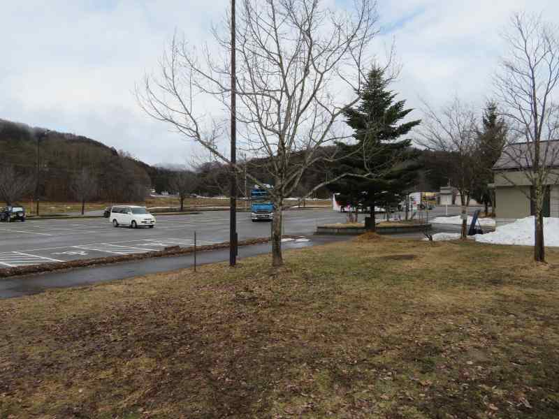 f:id:mannenNA:20210319194712j:plain