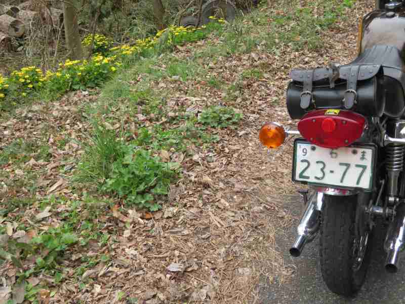 f:id:mannenNA:20210324204215j:plain