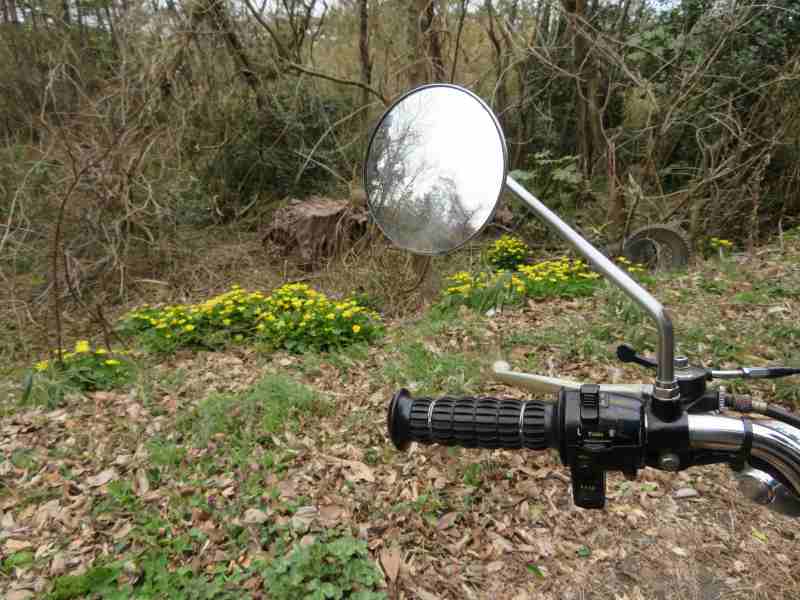 f:id:mannenNA:20210324204229j:plain