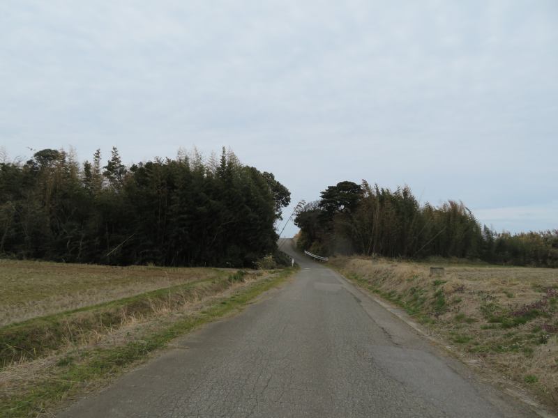 f:id:mannenNA:20210325183237j:plain