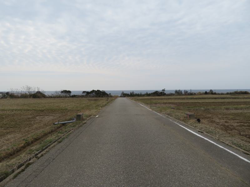 f:id:mannenNA:20210325183252j:plain