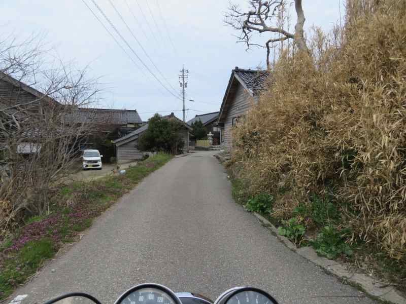 f:id:mannenNA:20210325183316j:plain