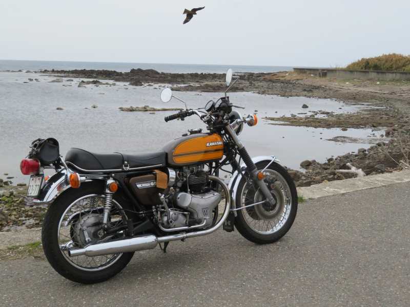 f:id:mannenNA:20210325183615j:plain