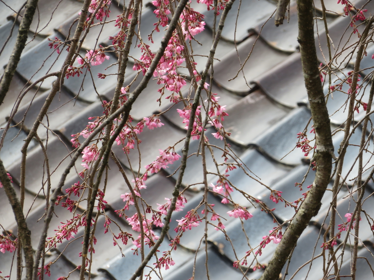 f:id:mannenNA:20210327201038j:plain