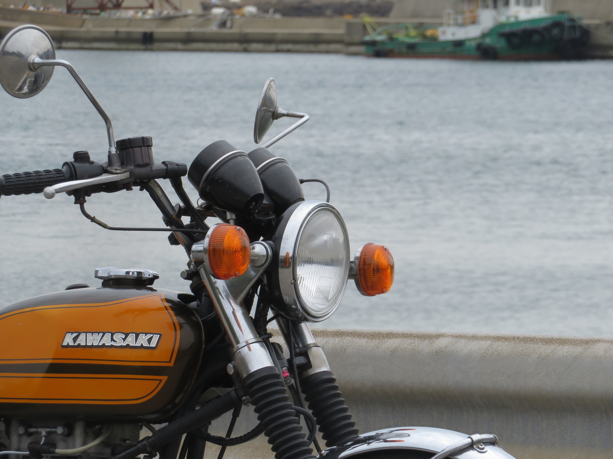 f:id:mannenNA:20210328220357j:plain