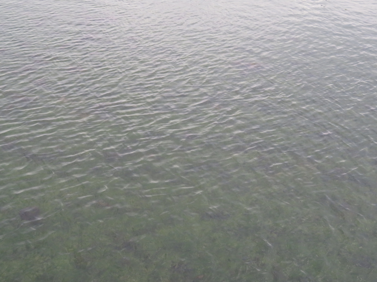 f:id:mannenNA:20210328220436j:plain