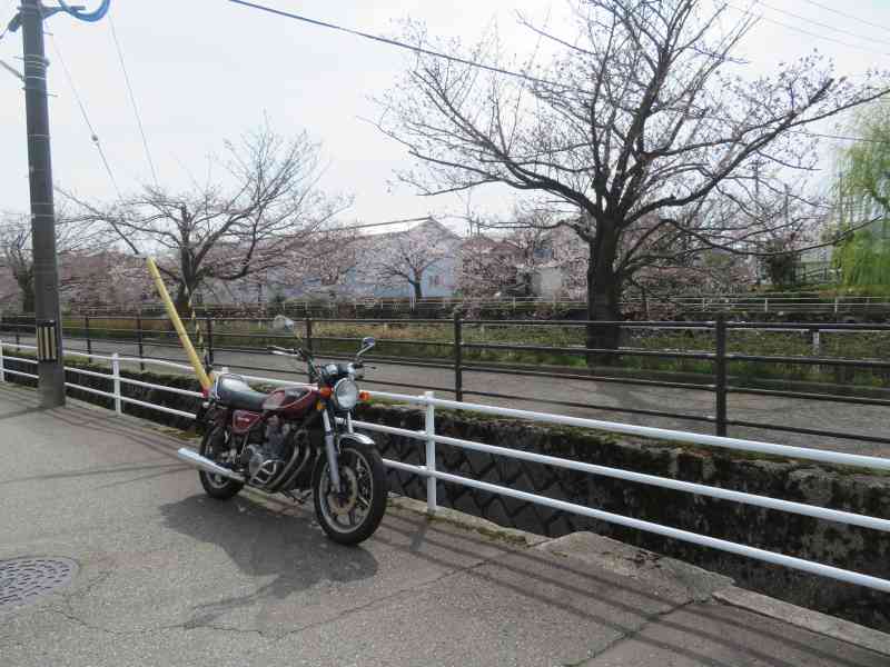 f:id:mannenNA:20210331205317j:plain