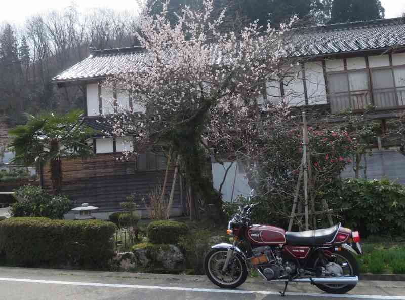 f:id:mannenNA:20210331205411j:plain