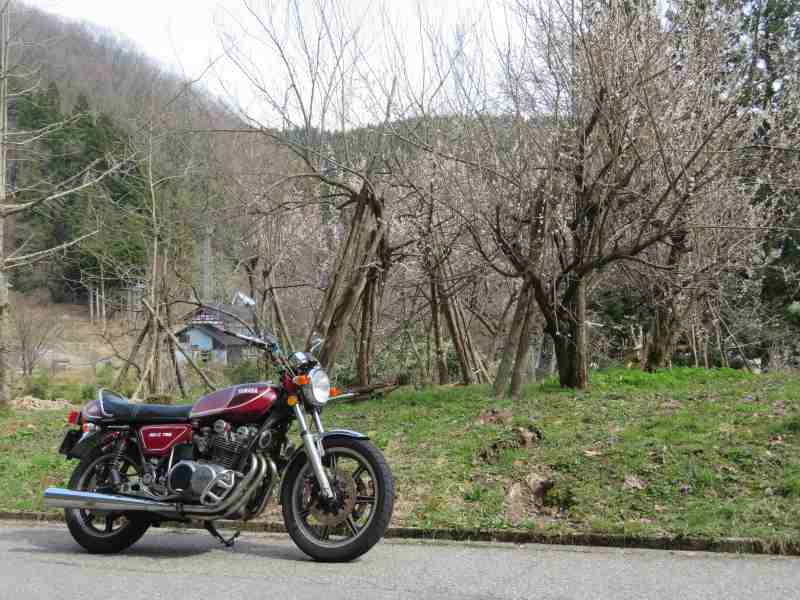 f:id:mannenNA:20210331205507j:plain