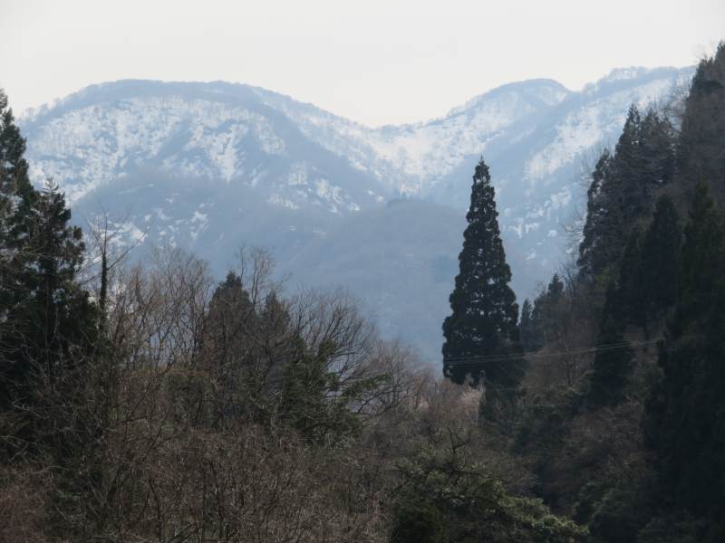 f:id:mannenNA:20210331205647j:plain