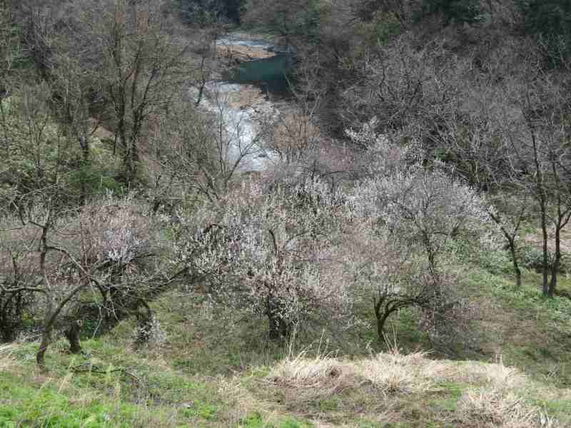 f:id:mannenNA:20210331205709j:plain