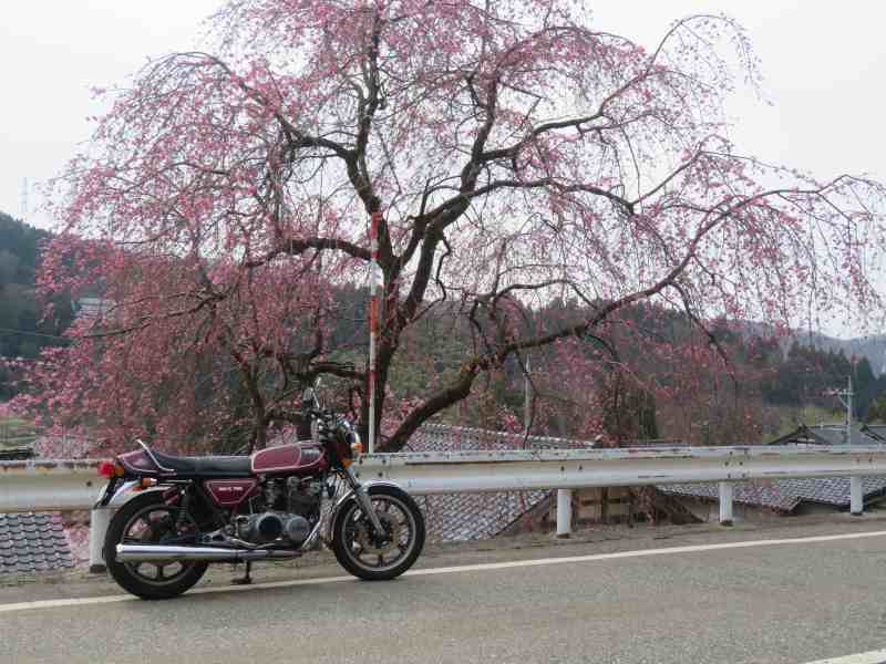 f:id:mannenNA:20210331205850j:plain