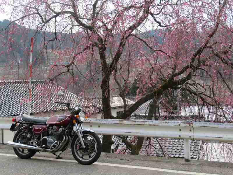 f:id:mannenNA:20210331210054j:plain