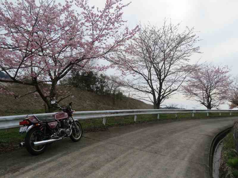 f:id:mannenNA:20210331210224j:plain