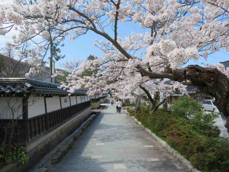 f:id:mannenNA:20210405201631j:plain