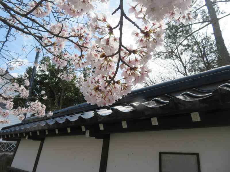 f:id:mannenNA:20210407203332j:plain