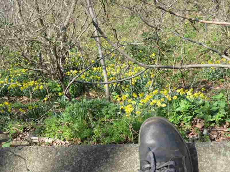 f:id:mannenNA:20210407203545j:plain