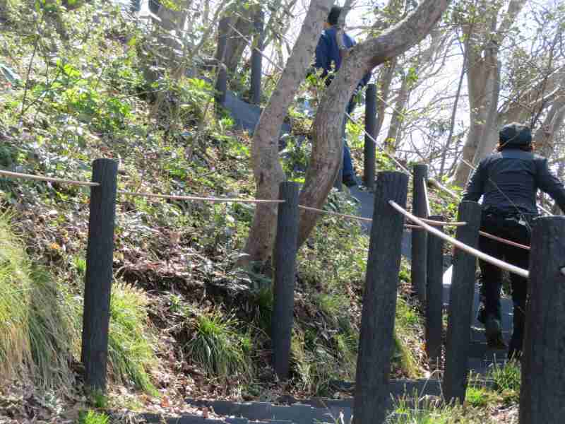 f:id:mannenNA:20210407203830j:plain