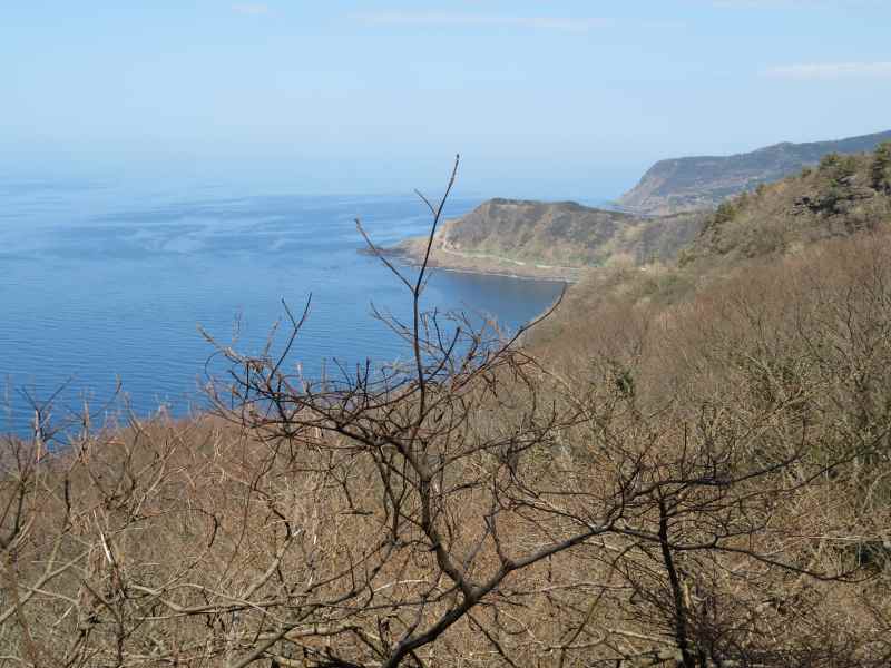 f:id:mannenNA:20210407203948j:plain