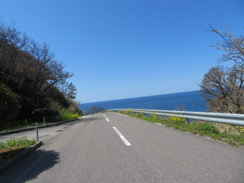 f:id:mannenNA:20210415212614j:plain