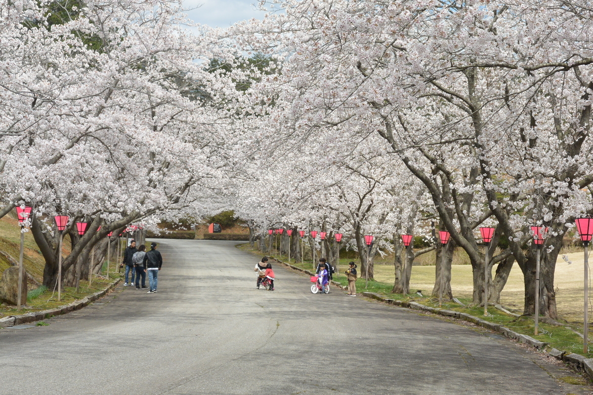 f:id:mannenNA:20210415212923j:plain