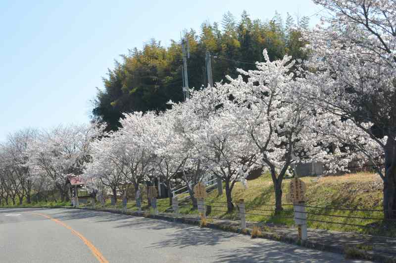 f:id:mannenNA:20210418213208j:plain