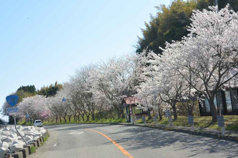 f:id:mannenNA:20210418213223j:plain