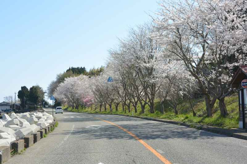 f:id:mannenNA:20210418213248j:plain