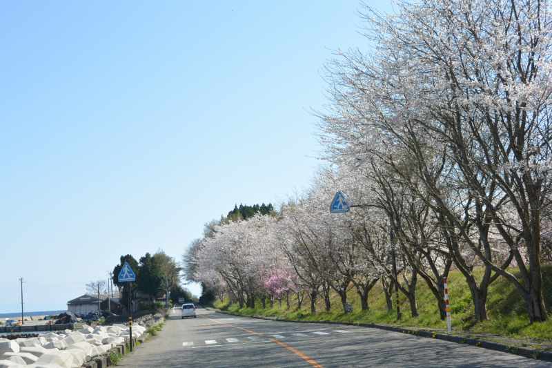 f:id:mannenNA:20210418213300j:plain