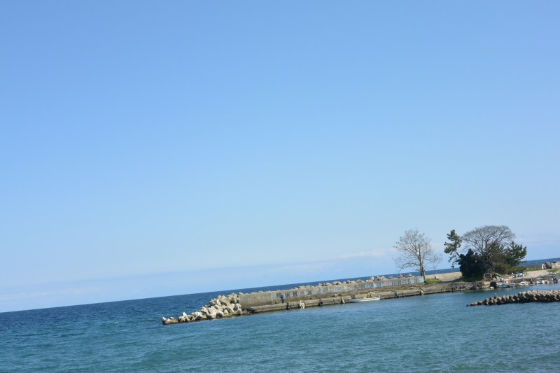 f:id:mannenNA:20210418213338j:plain