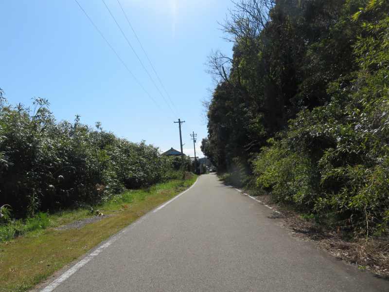 f:id:mannenNA:20210419205429j:plain