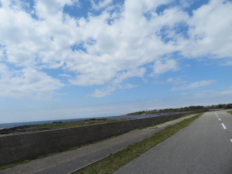 f:id:mannenNA:20210426191910j:plain