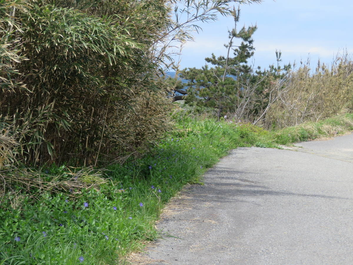 f:id:mannenNA:20210426192205j:plain