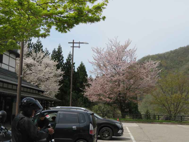 f:id:mannenNA:20210429175326j:plain