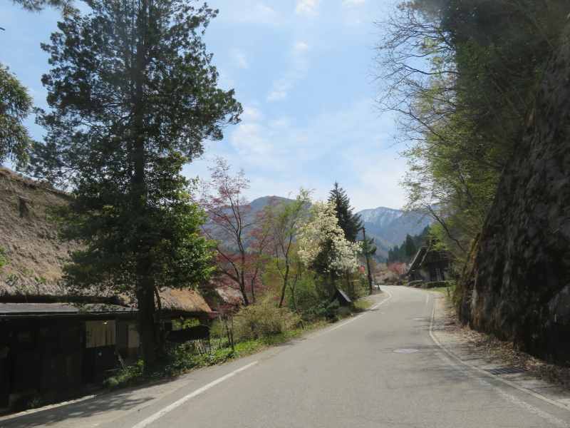 f:id:mannenNA:20210429180129j:plain