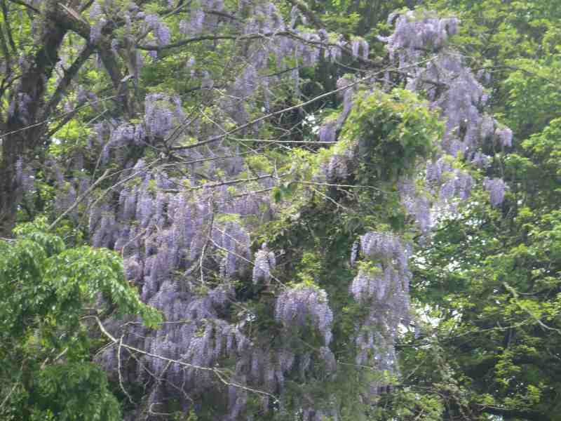 f:id:mannenNA:20210509094335j:plain