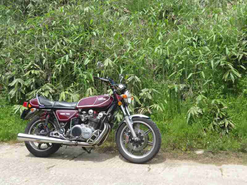 f:id:mannenNA:20210509094351j:plain