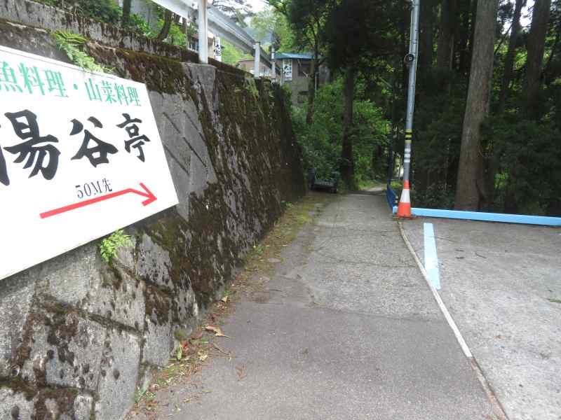 f:id:mannenNA:20210509094711j:plain