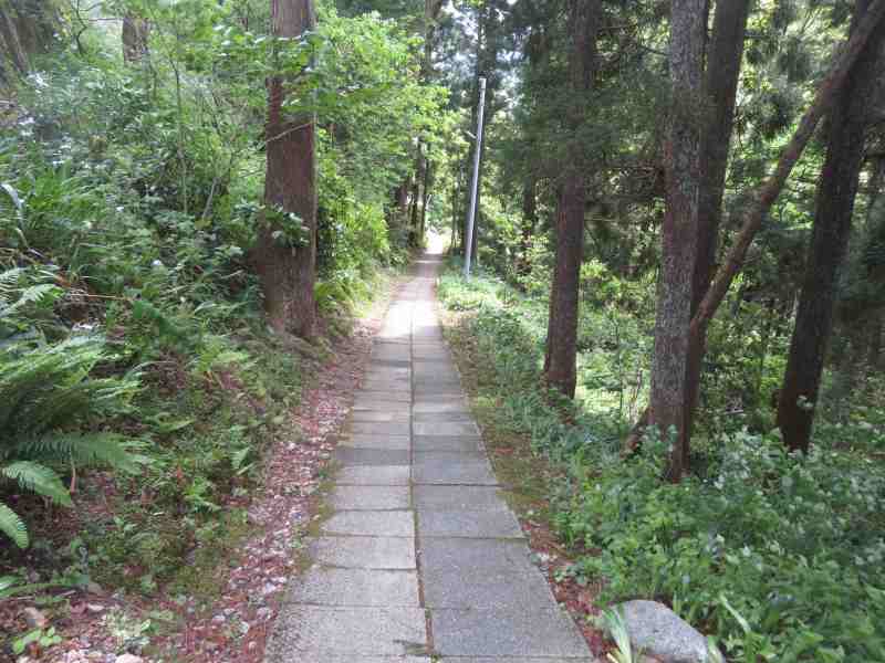 f:id:mannenNA:20210509094731j:plain