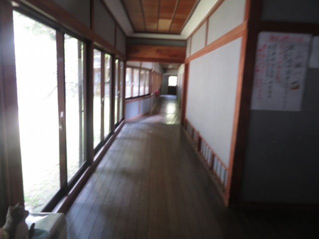 f:id:mannenNA:20210509094909j:plain