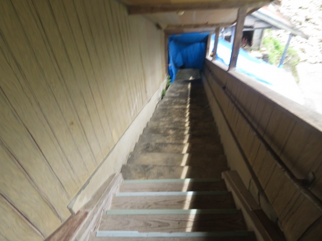 f:id:mannenNA:20210509095127j:plain