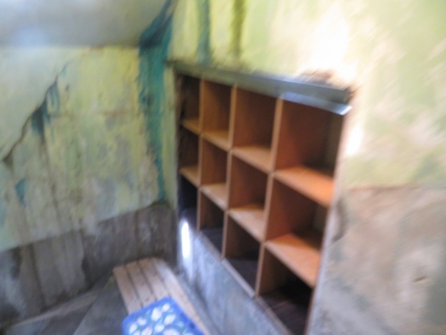 f:id:mannenNA:20210509095313j:plain